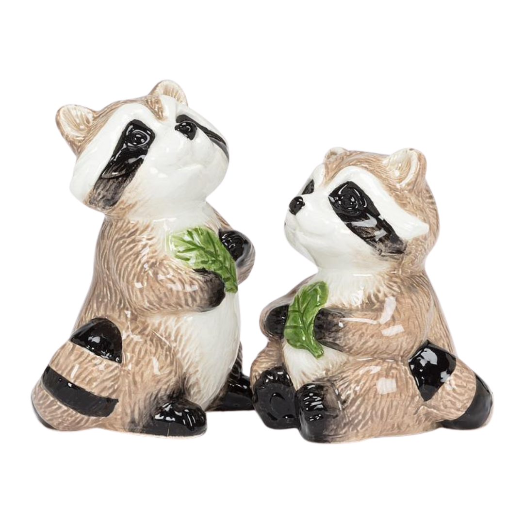 Raccoon Salt & Pepper Shakers