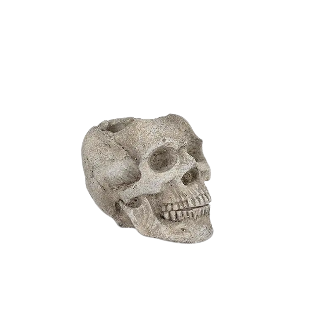 Small Skull Planter