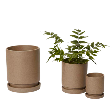 Imogen Pot
