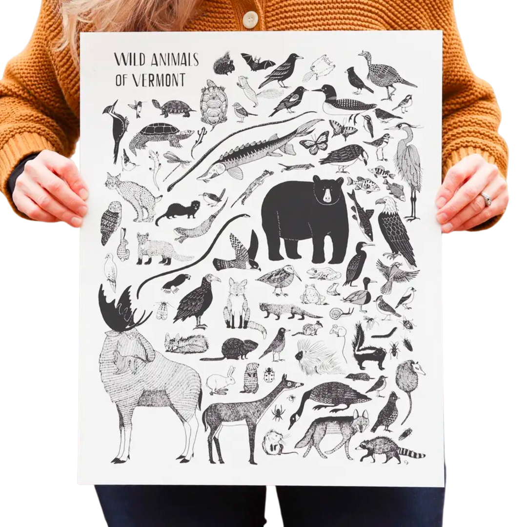 Wild Animals of Vermont Print