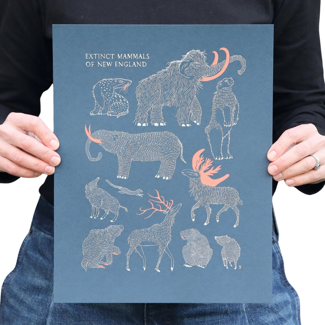 Extinct Mammals of New England Print