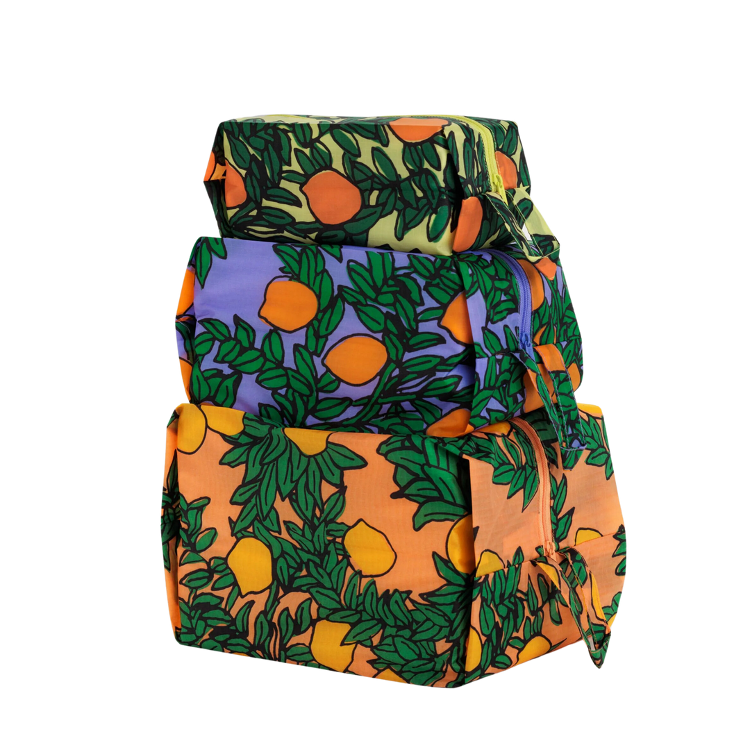 3D Zip Pouch Set - Orange Trees