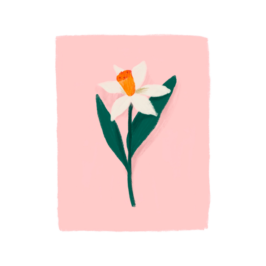 Daffodil Art Print