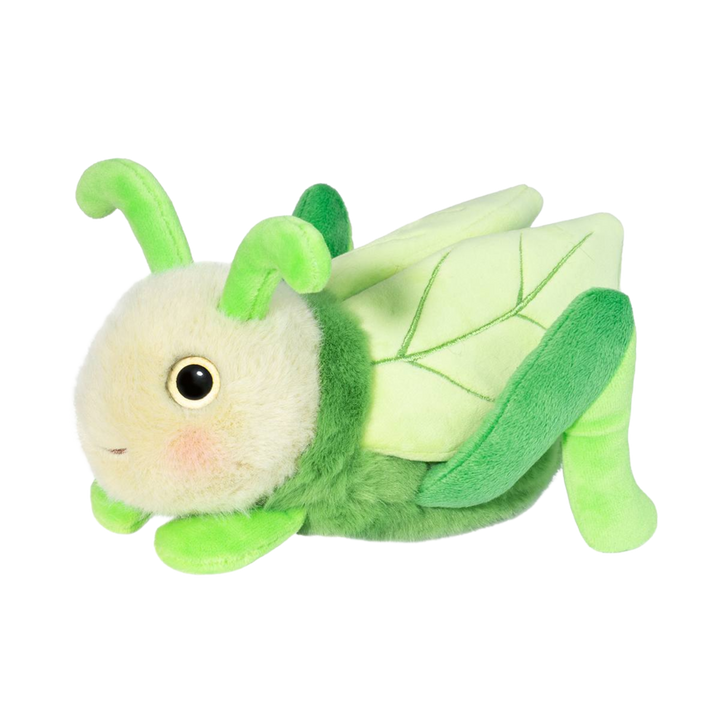 Kady Grasshopper