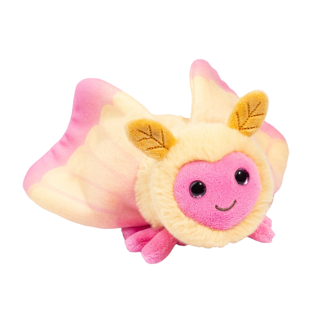 Rosy Maple Moth