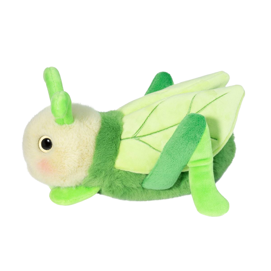 Kady Grasshopper