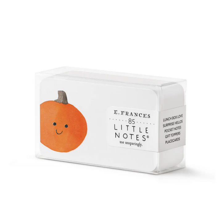Jack-O-Lantern Little Notes® Notecards (55ct)