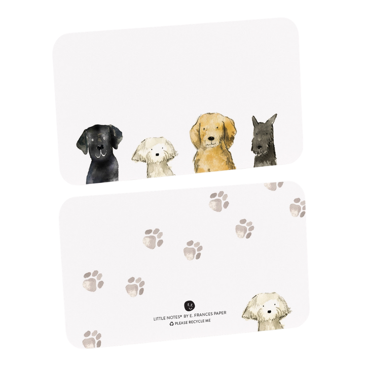 Dog Days Little Notes Notecards (55ct)