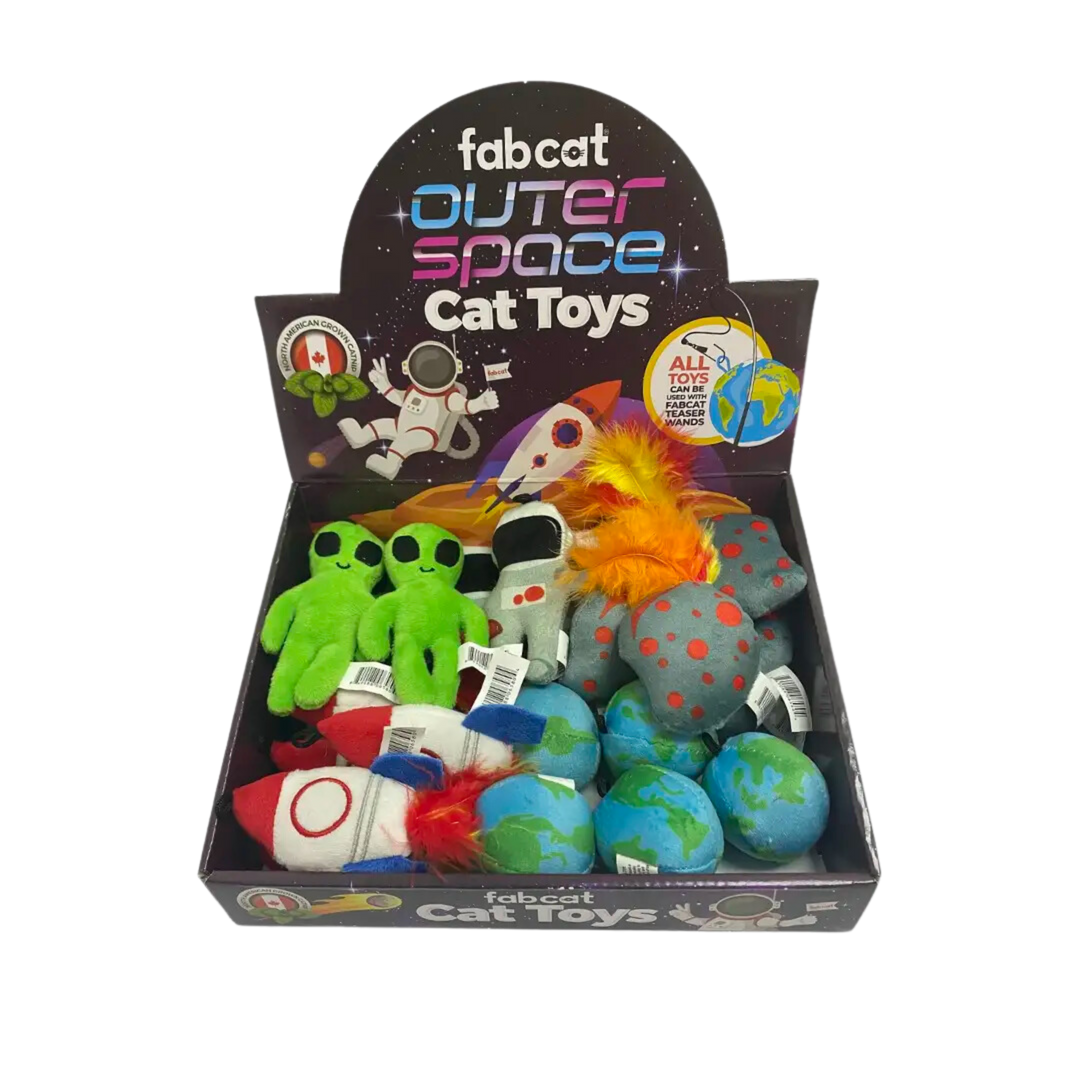Outer Space Cat Toy Pdq