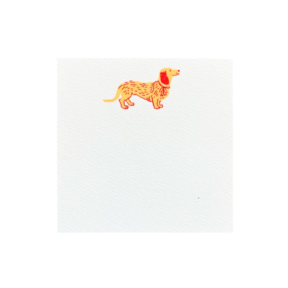 Dachshund Square Note Cards (48ct)