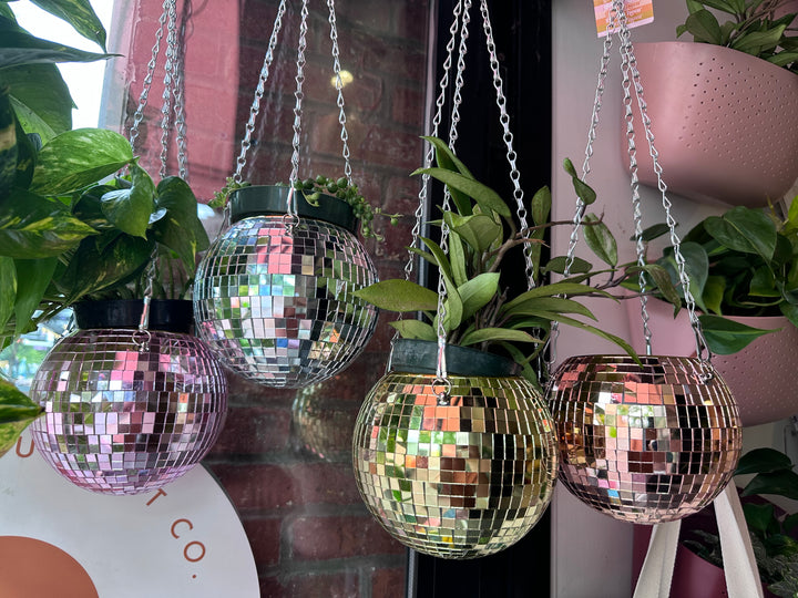 Disco Ball Hanging Planter 6"