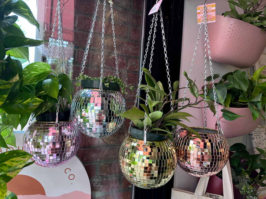 Disco Ball Hanging Planter 6"