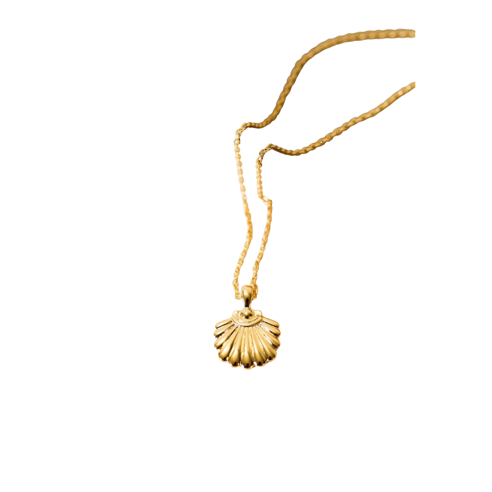 Seashell Pendant Necklace - 18k Gold
