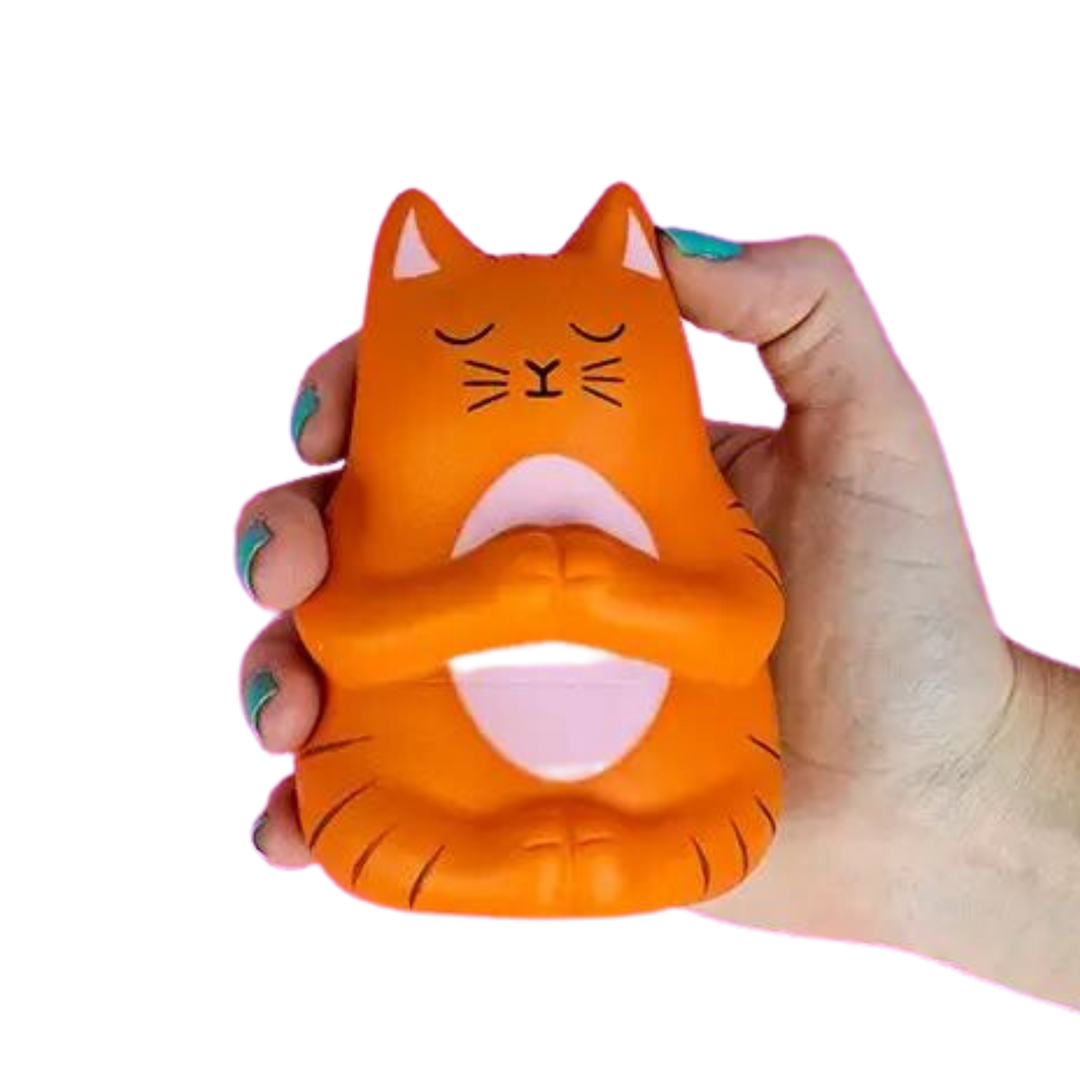 Meowditation Stress Toy