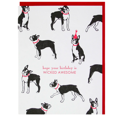 Boston Terrier Birthday Card