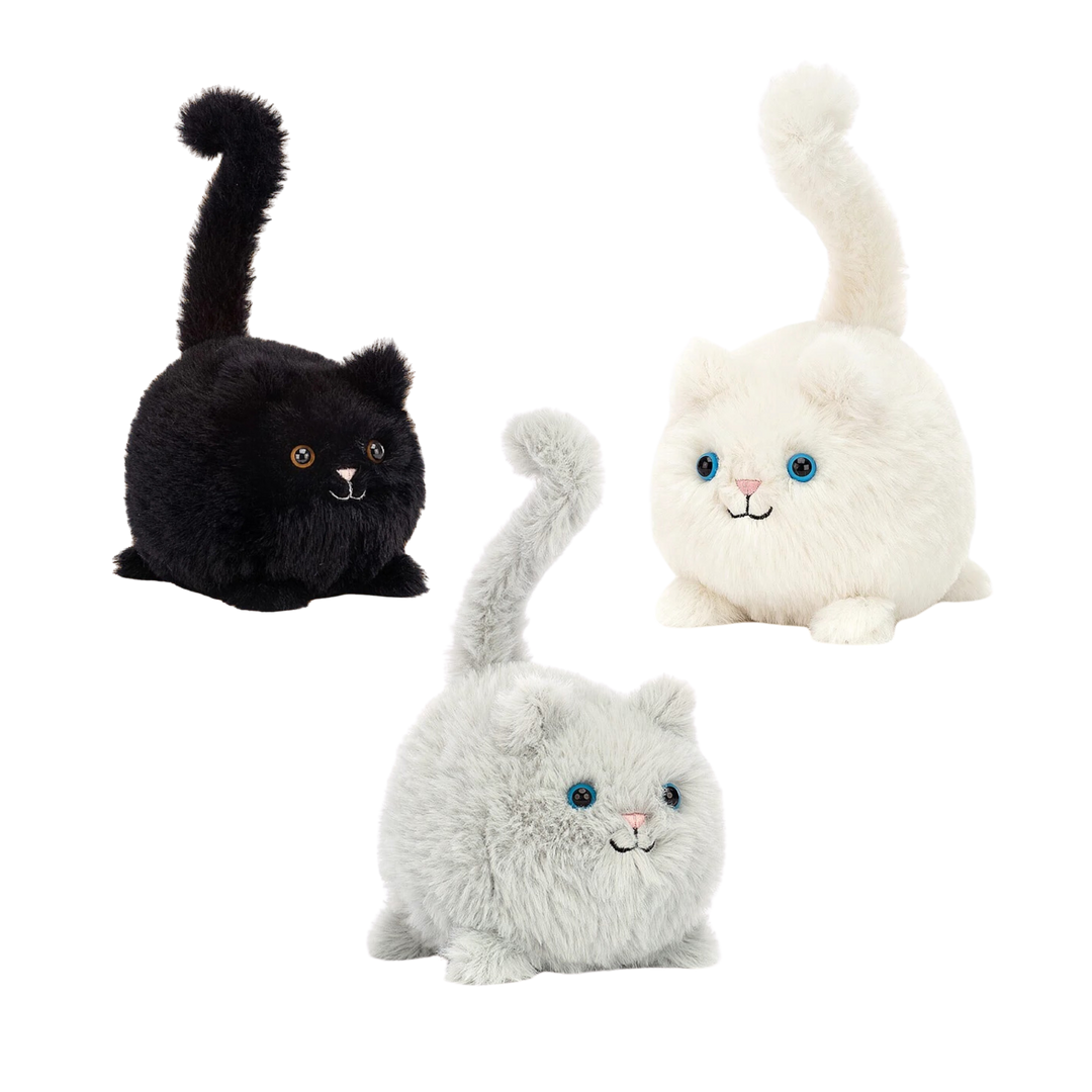 Kitten Caboodle