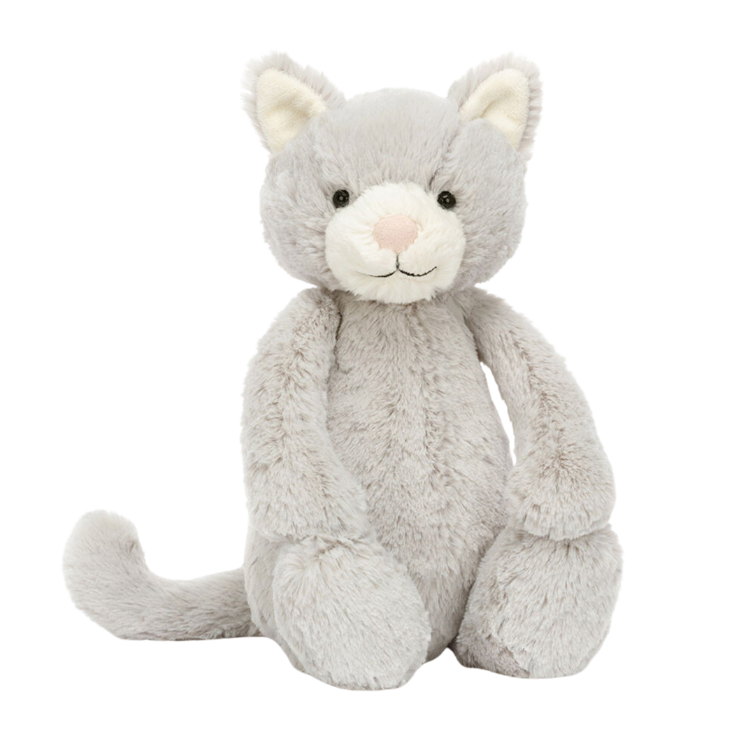 Bashful Grey Kitty