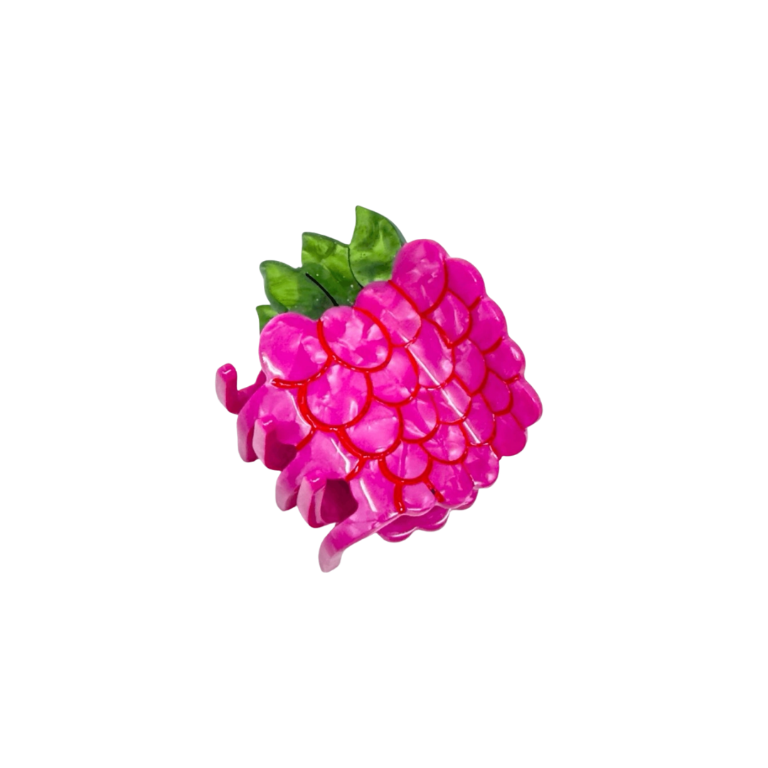 Mini Raspberry Hair Claw Clip