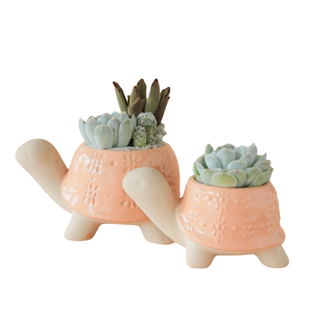 Turtle Planter - Sunset