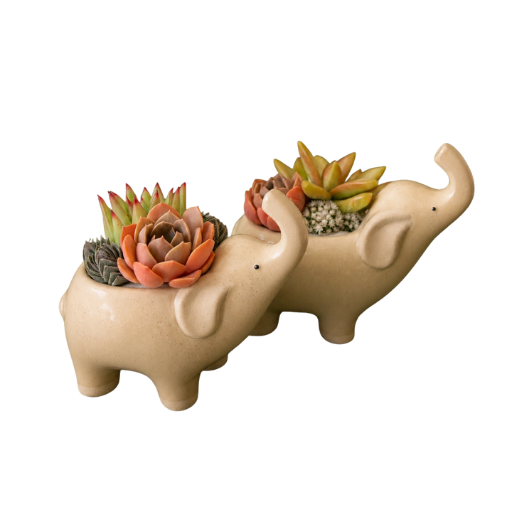 Elephant Planter - Sand