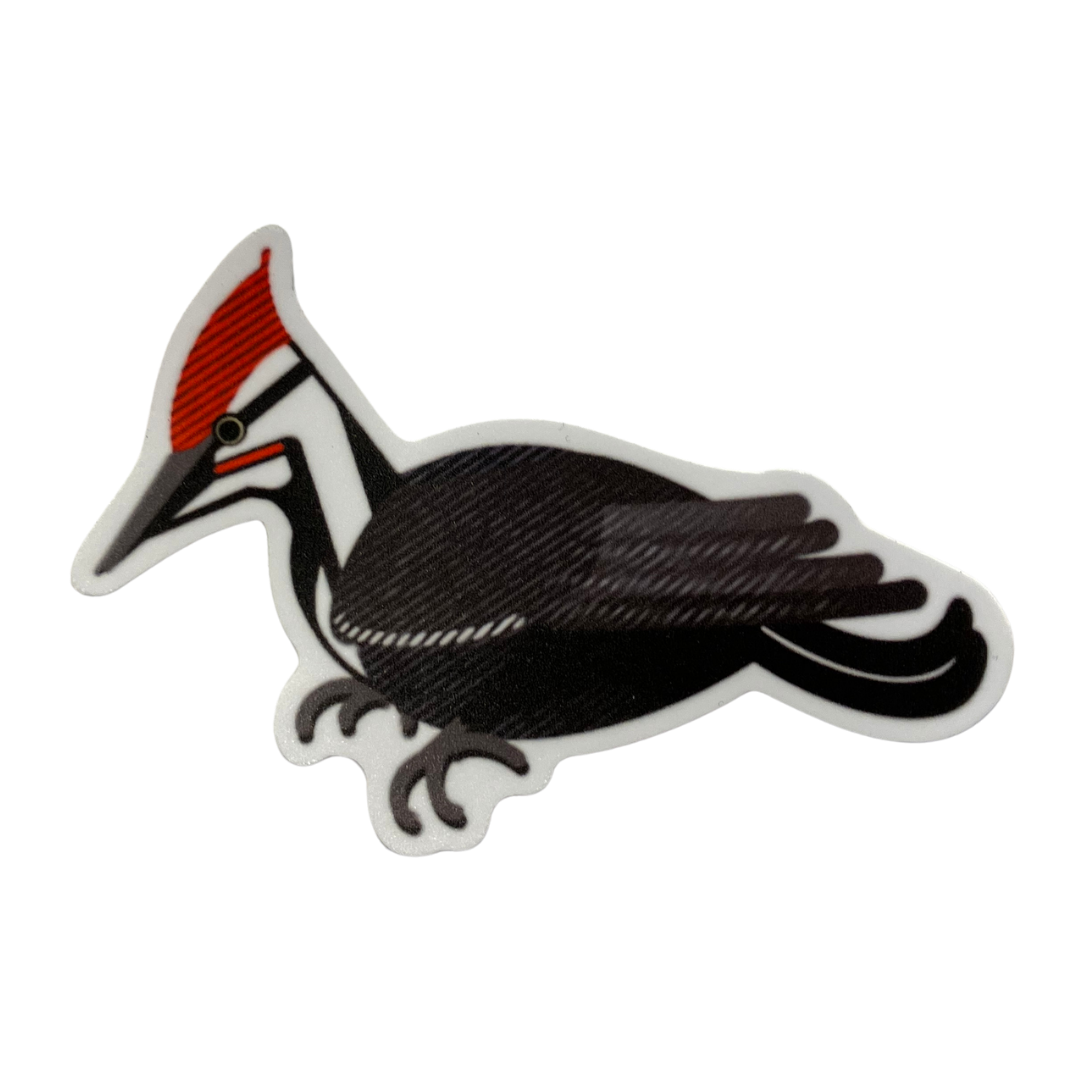 Pileated Woodpecker Sticker