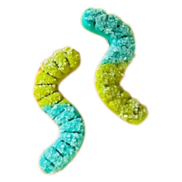 Pip’s Sour Gummy Worm Earrings