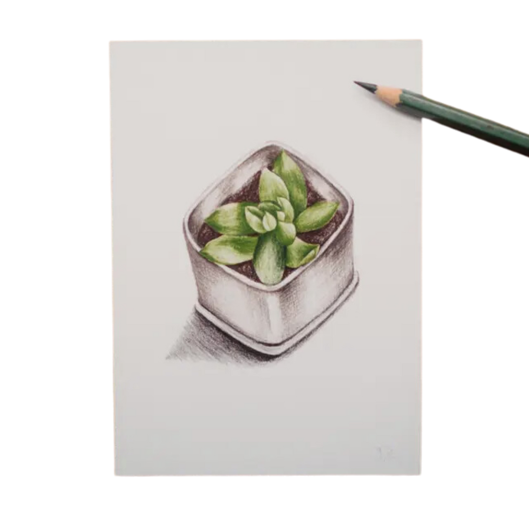 Graptoveria Succulent Art Print