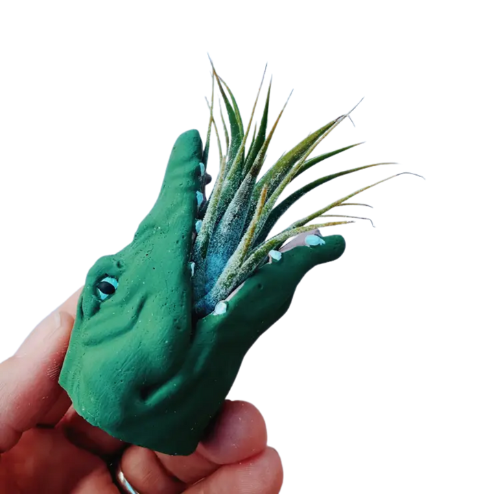 Mini Plant Pot with Air Plant