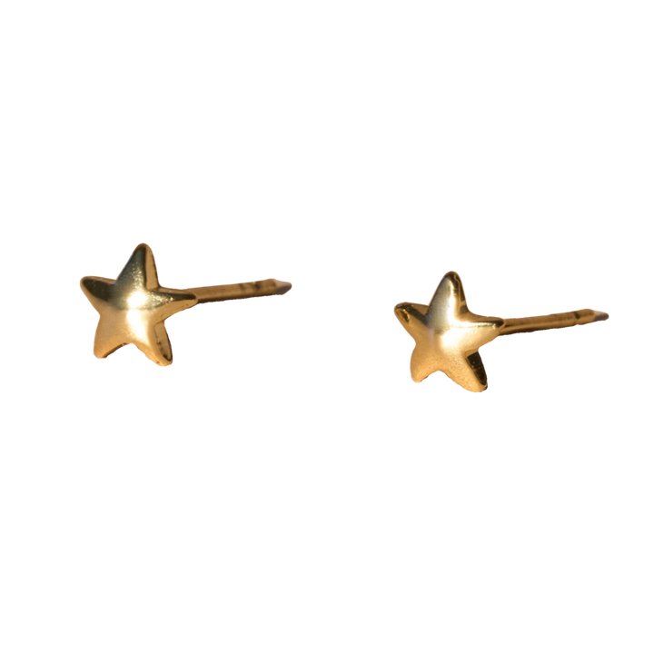 Universe Star Stud Earrings
