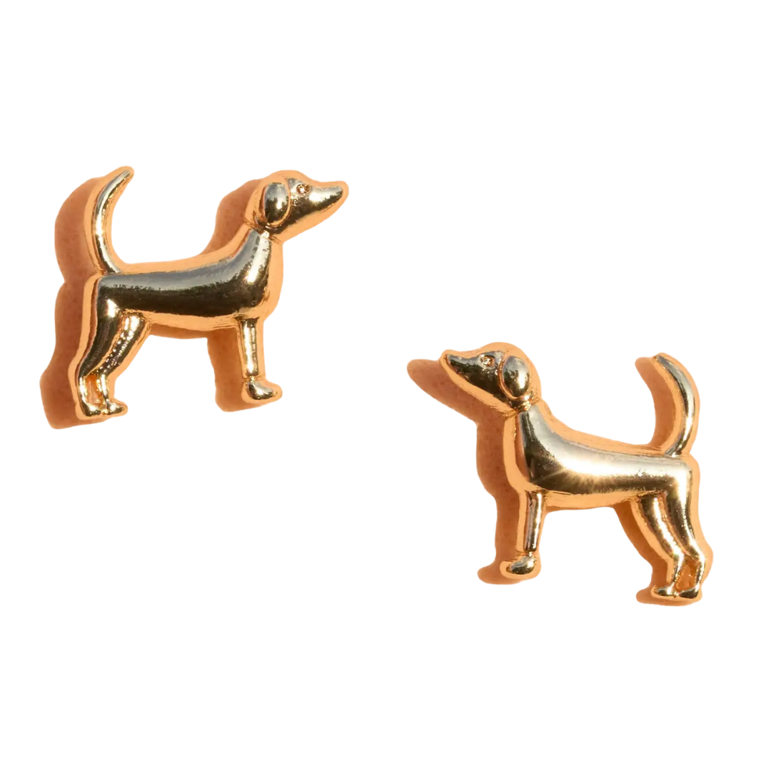 Fortune Dog Studs