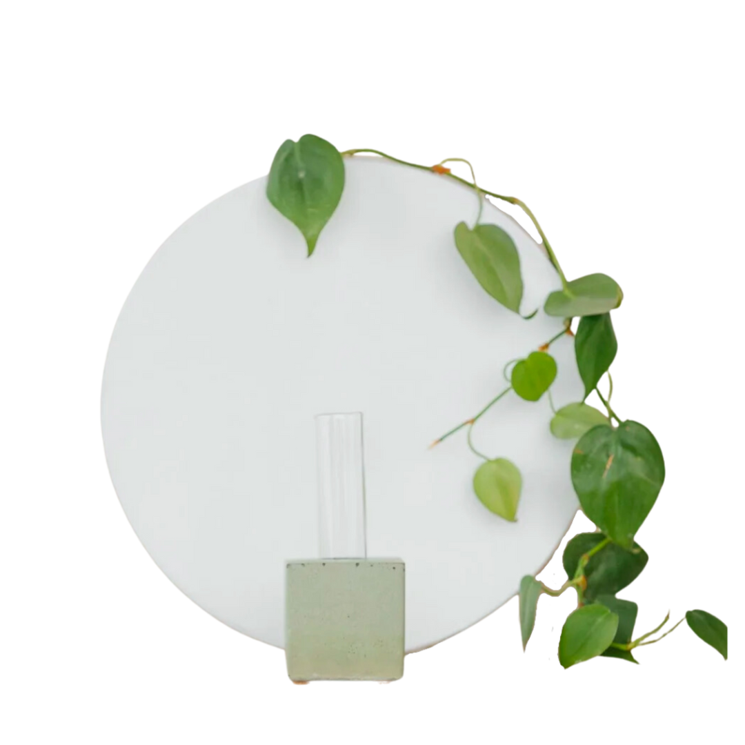 Green Propagation Vase
