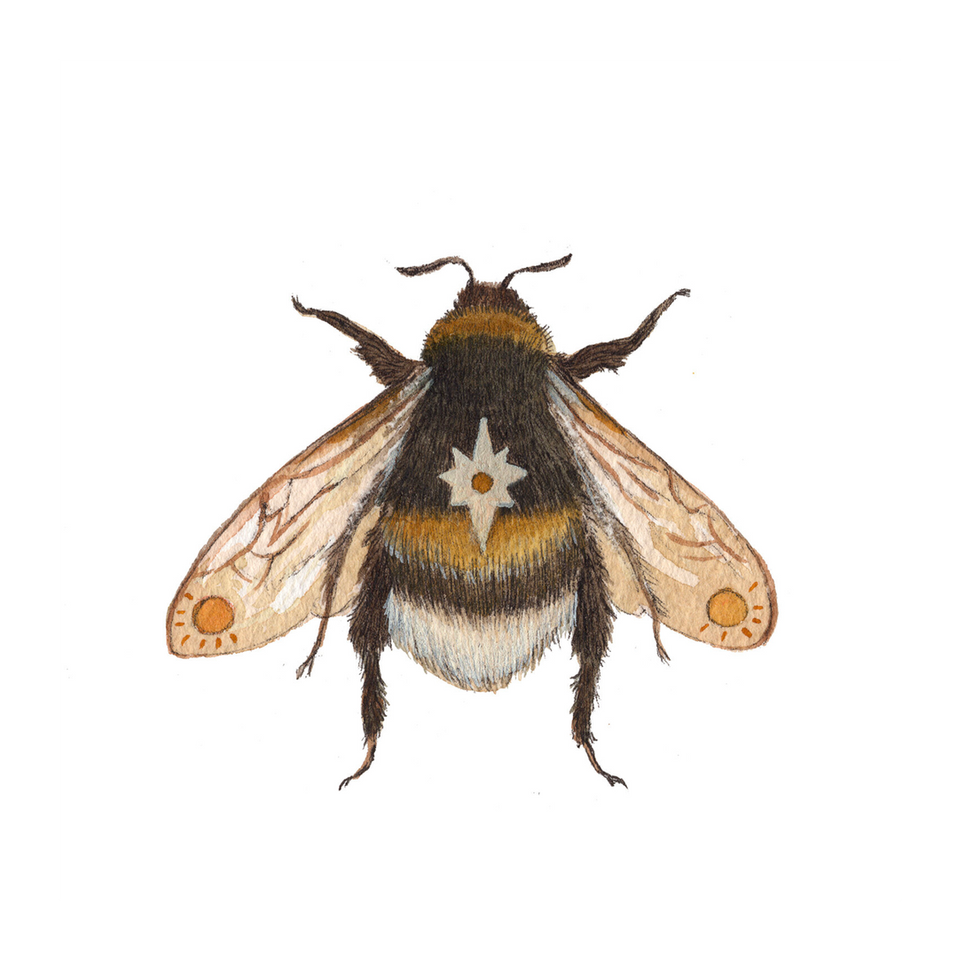 Astral Bee - Art Print