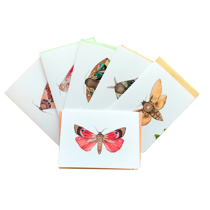 Collector: Moths Set 1 - Greeting Card Pack