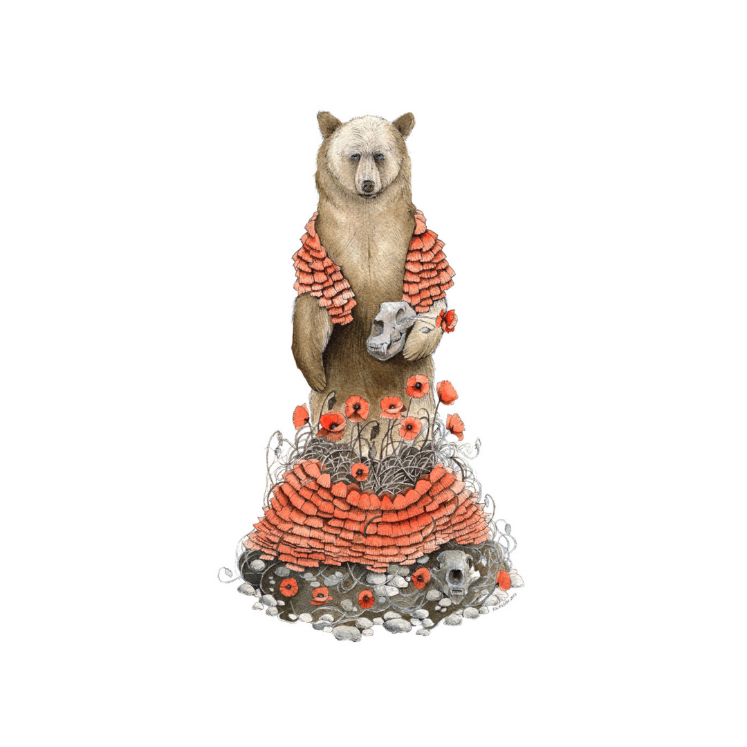 Bear and Poppies - Art Print