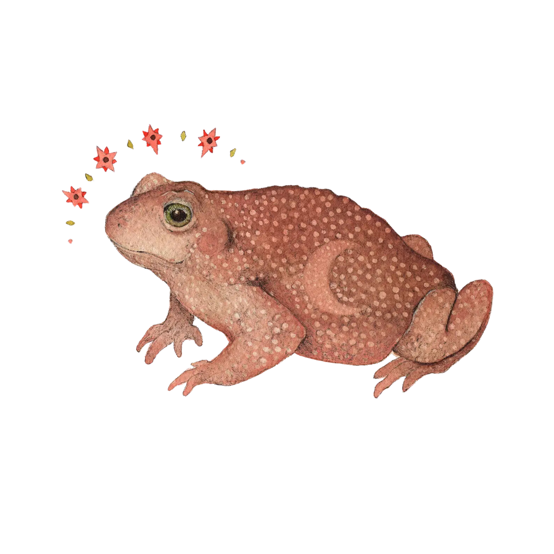Astral Toad Art Print