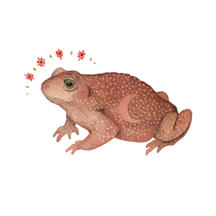 Astral Toad Art Print