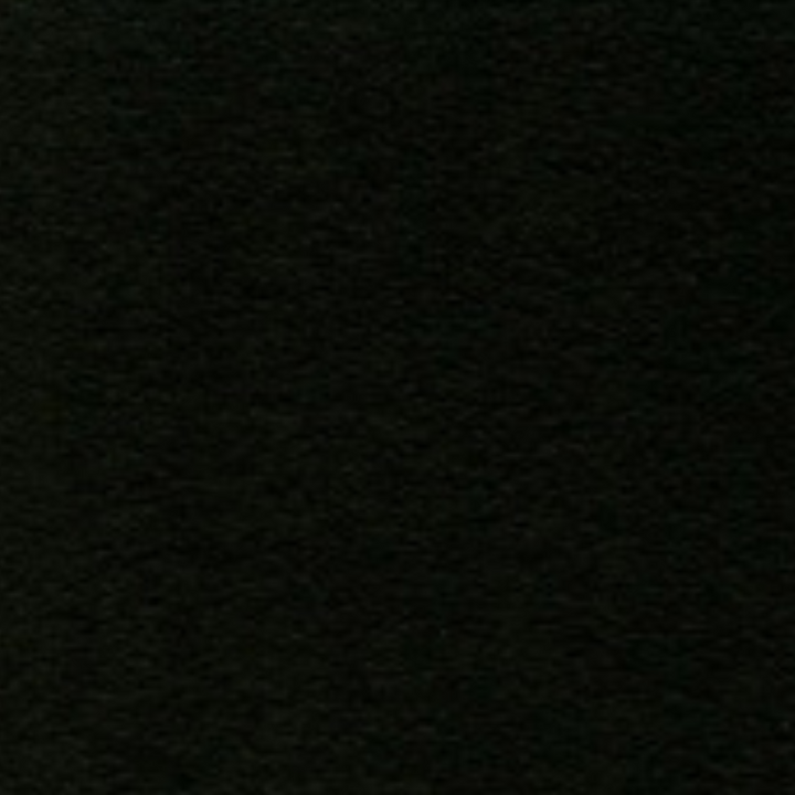 FW Liquid Acrylic Ink 1oz - Black (India)