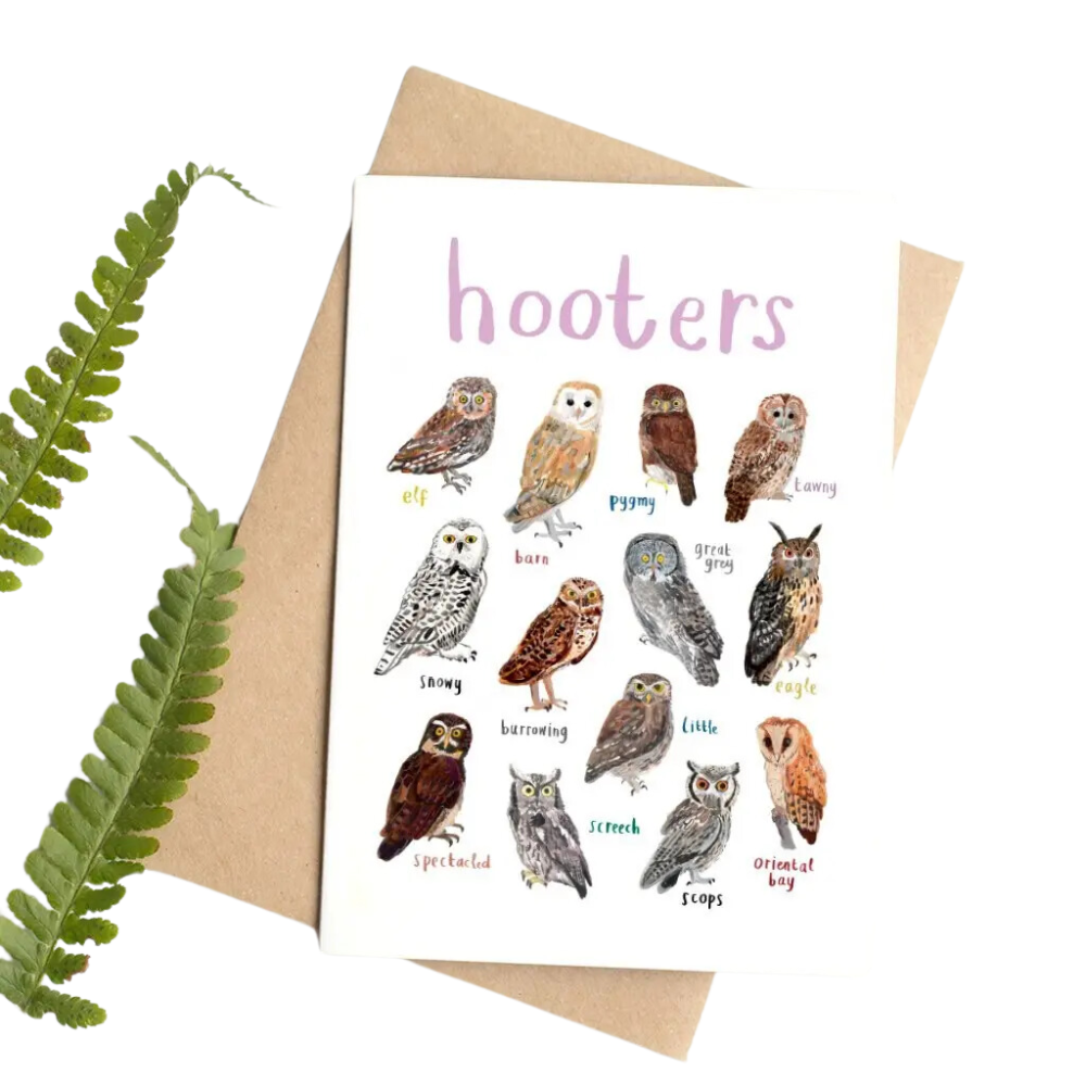 Hooters Blank Bird Card