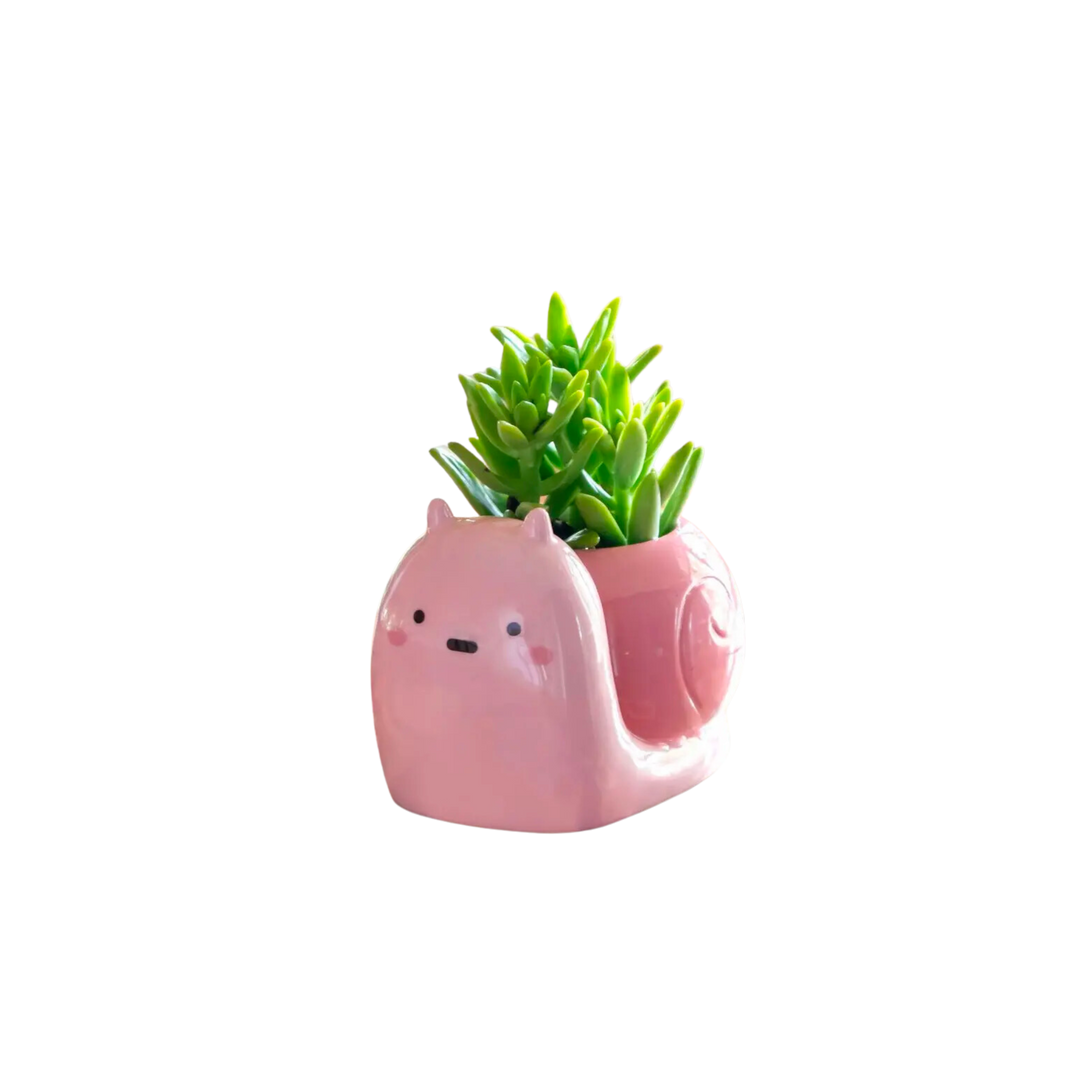 Snail Planter