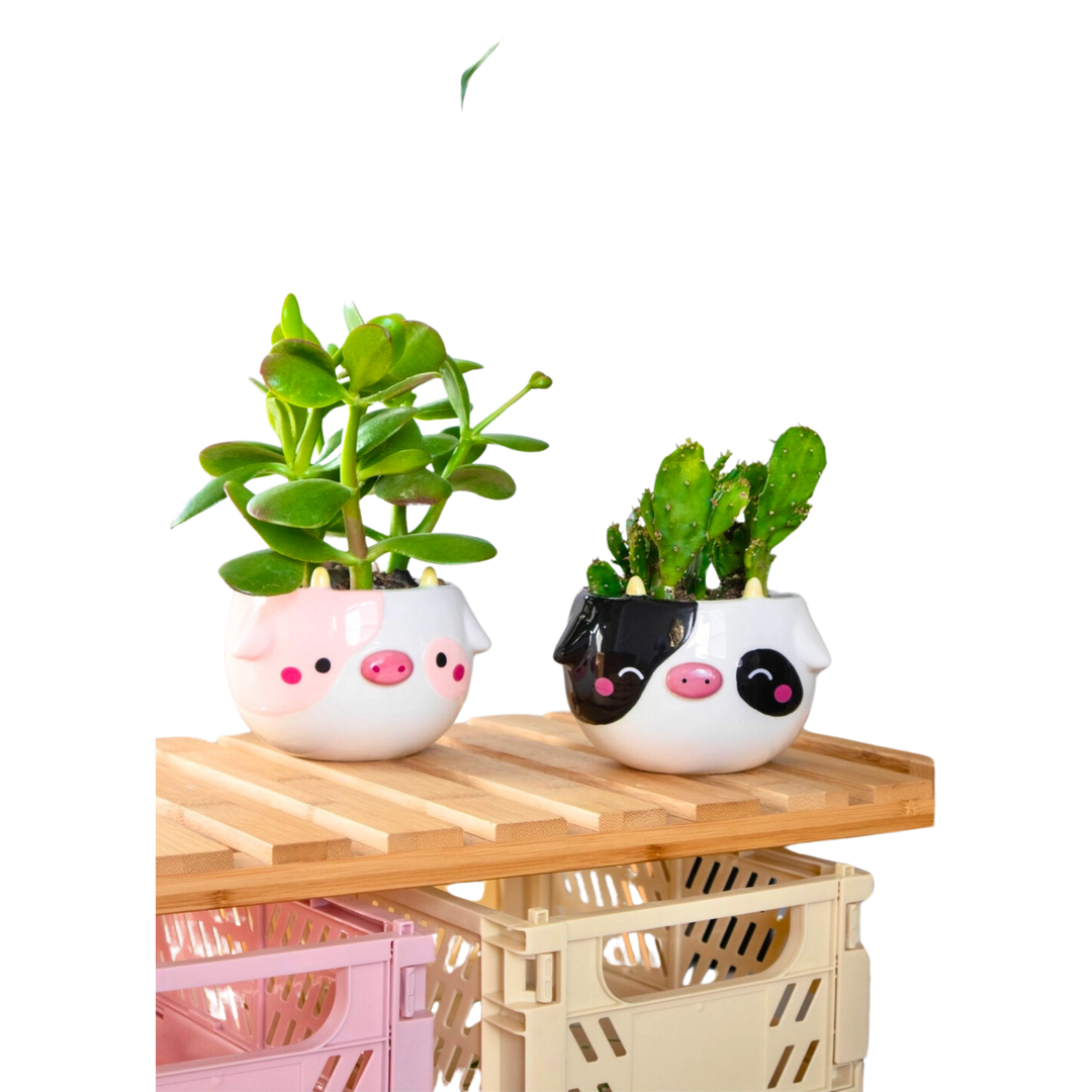 Cow Planter