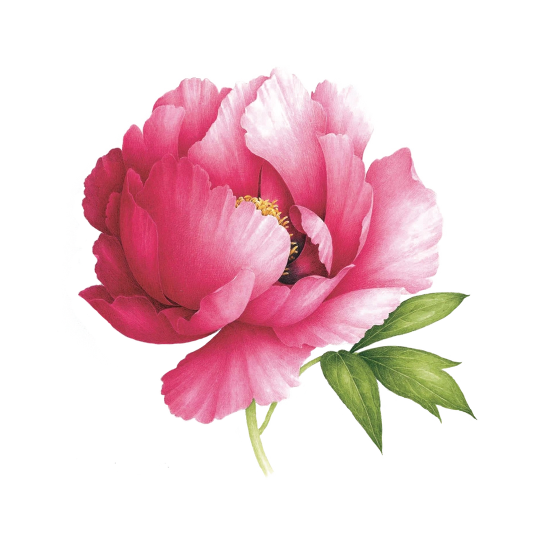 Pink Peony Tattoo Pair (Scented)