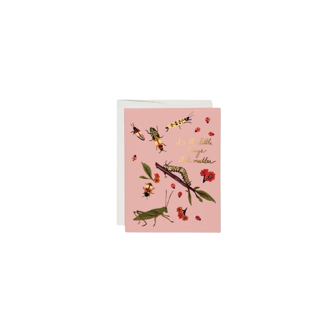 It's the Little Things Little Bugs Card - Boxed Set