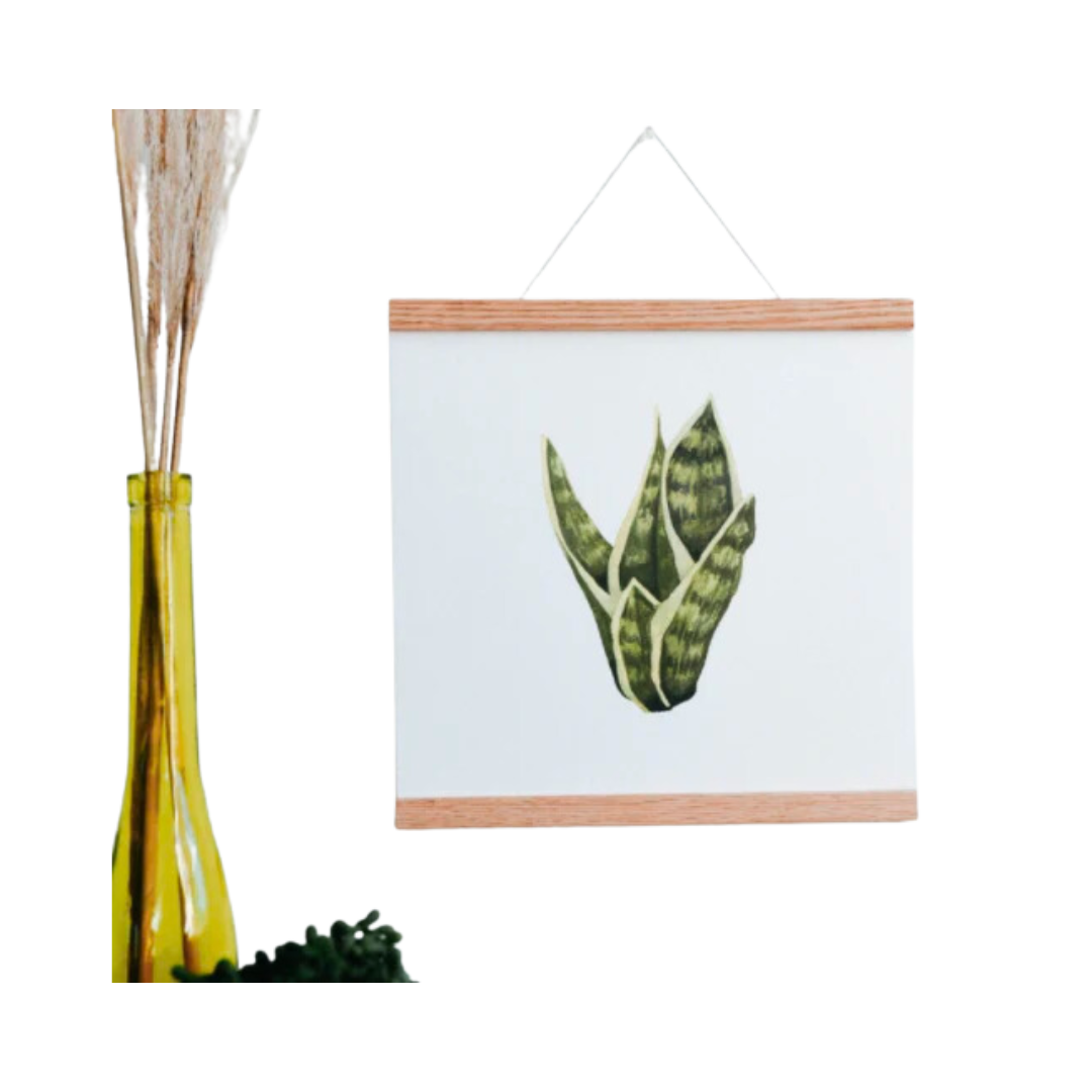 Snake Plant Art Print