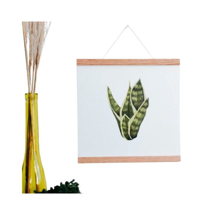 Snake Plant Art Print