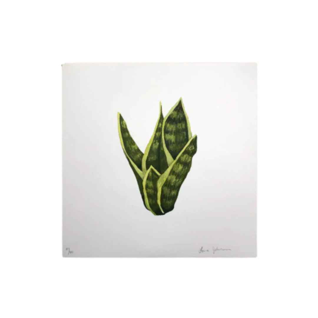 Snake Plant Art Print