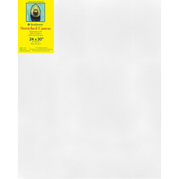 Strathmore 300 Series Stretched Canvas