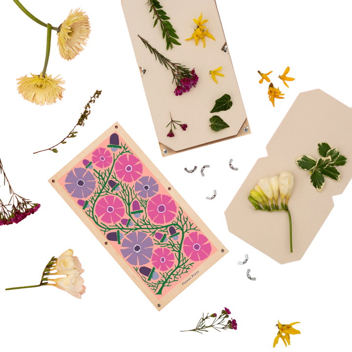 Large Flower Press - Cosmos