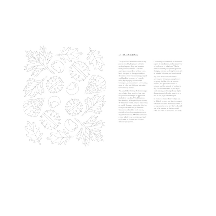 The Mindful Year Coloring Book