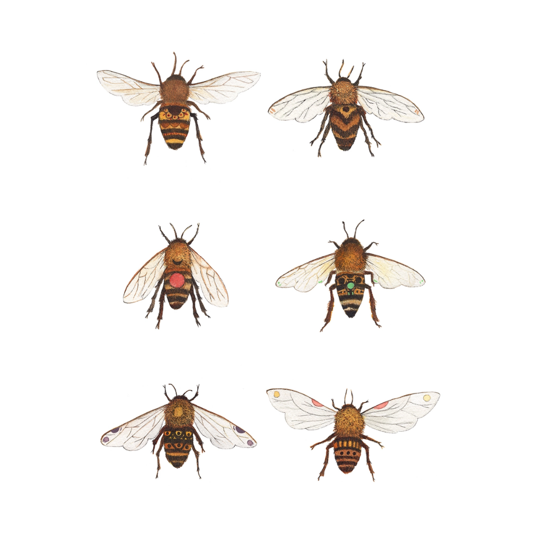 Botanical: The Bees — 8"×10" Art Print