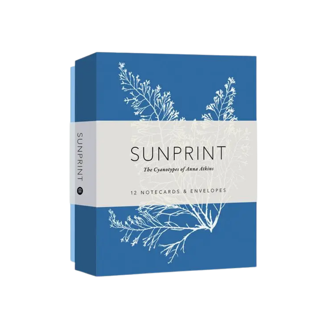 Sunprint Notecards